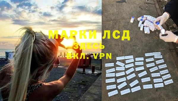 прущие грибы Алексеевка