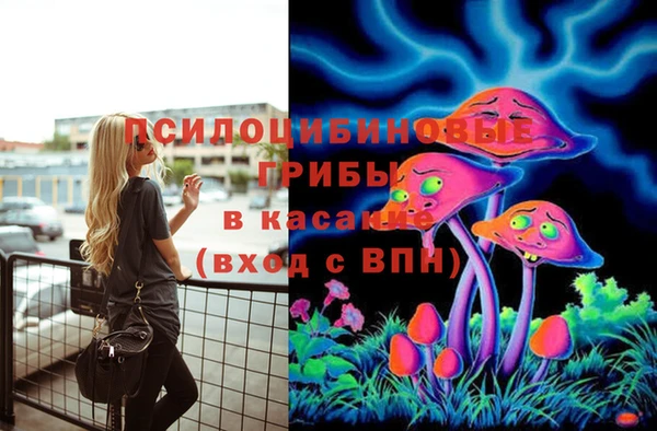 прущие грибы Алексеевка