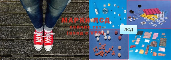 прущие грибы Алексеевка