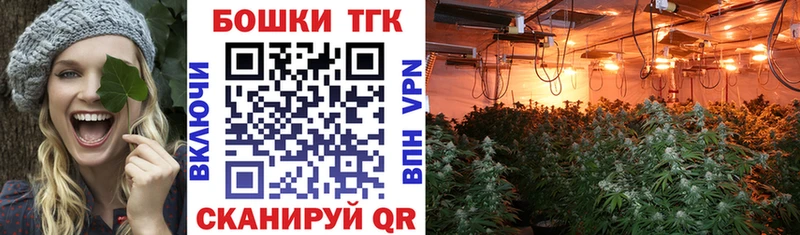 Бошки марихуана AK-47  закладка  Таштагол 